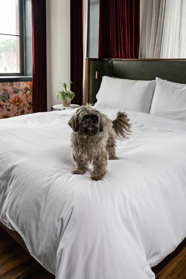 The Broadview Hotel Toronto Esterno foto